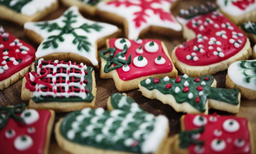 Une maison pour les Vacances de Noël pour qu'une maman SDF puisse revoir ses enfants dont elle est séparée depuis 7 mois!