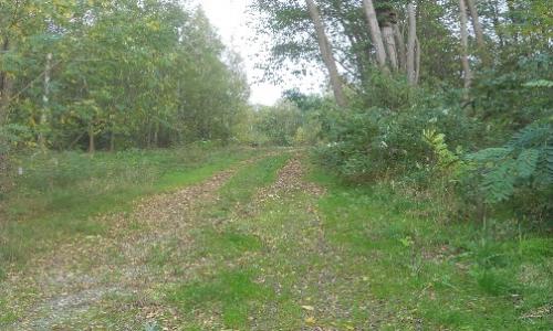 Pour la protection de la faune et de la flore de « la Vieille-Montagne » de Grâce-Hollogne et le bien-être des riverains