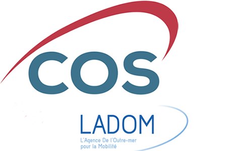 Pour une équité de traitement, un COS Ladom et une reconnaissance en fin d'année des agents de droit public