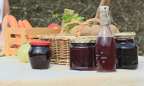 Pétition en appui au projet de marché gourmand dans le village de Ste-Flore à l'été 2018 (événement d'une journée)