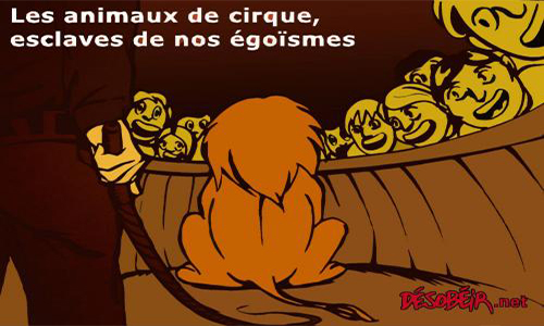 Pour des cirques sans animaux à Rodez