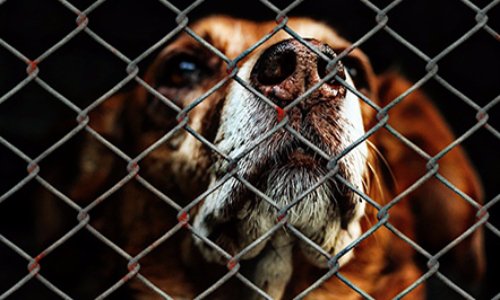 Écrire c'est bien, AGIR c'est mieux !