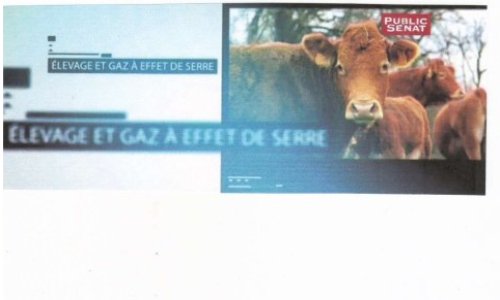 IMPACT de l'ELEVAGE sur le RECHAUFFEMENT CLIMATIQUE : Pour une INTERDICTION immédiate et totale de l'ELEVAGE industriel et INTENSIF et une REDUCTION drastique de l'ELEVAGE traditionnel des animaux