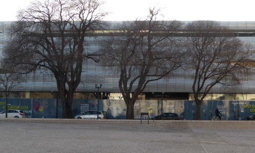 Sauvons les micocouliers du musée de la romanité