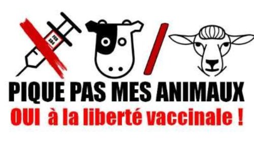 Pétition pour la liberté vaccinale - Contre les mesures mises en place pour la FCO-4