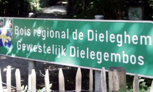 Non à la modification du trajet du bus 13 dans le quartier de l'ancienne barrière à jette