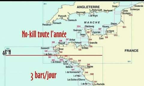 Non au quota 0 bar en pêche loisir par la commission européenne