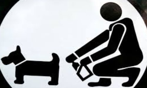 Rendre nos rues plus propres