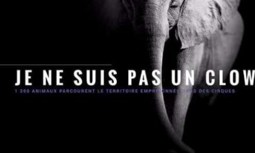 Soutenons le Maire de Roncq dans son choix éthique !