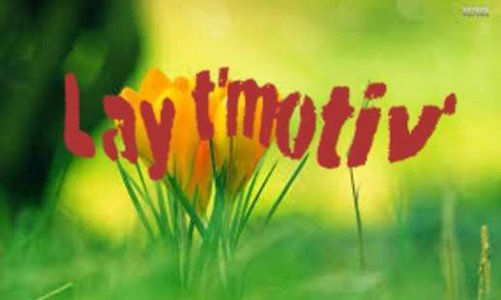 Pour la survie Lay t'motiv !