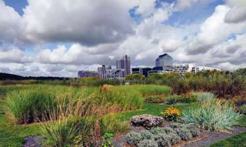 Ile Seguin : créez une Île verte à Paris !