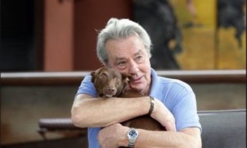 Non, ne laissons pas Alain Delon piquer son jeune chien pour qu'il « parte en même temps que lui »