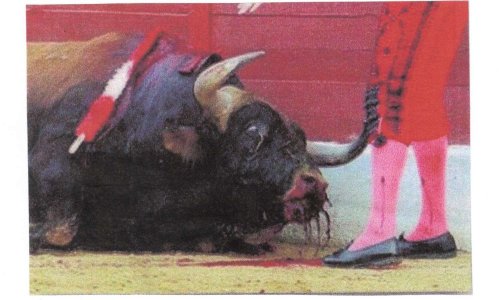 URGENCE : INTERDIRE la TIENTA et la NOVILLADA ILLEGALES à MAGESCQ le 4 février 2018