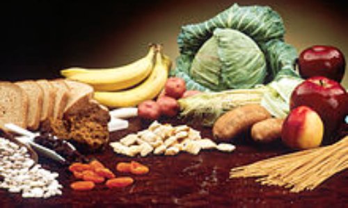 Pour une modification du PNNS en faveur du végétalisme.