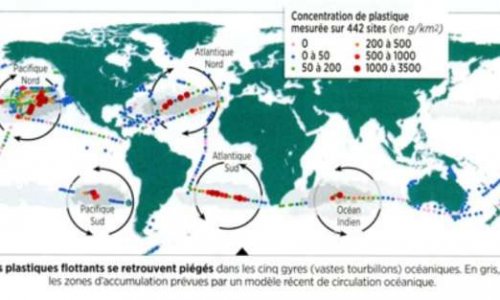 Création de machines pour nettoyer la pollution de déchets plastiques dans l'océan qui perturbent l’écosystème.