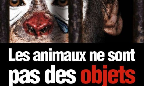Non aux cirques avec animaux à Pont-à-Mousson !