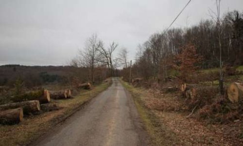 Contre le massacre organisé par  le Conseil Départemental de la Corrèze (2017/2018)