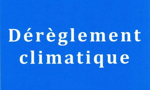 POUR une POLITIQUE de REBOISEMENT de la PLANETE