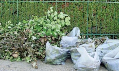 Pour la remise en service de la collecte des déchets verts en zone pavillonnaire à Plaisir