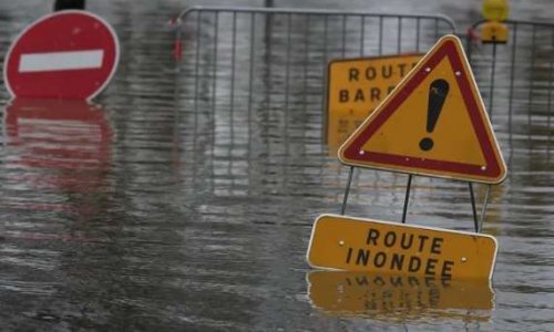 STOP aux INONDATIONS - REBOISEZ la PLANÈTE !