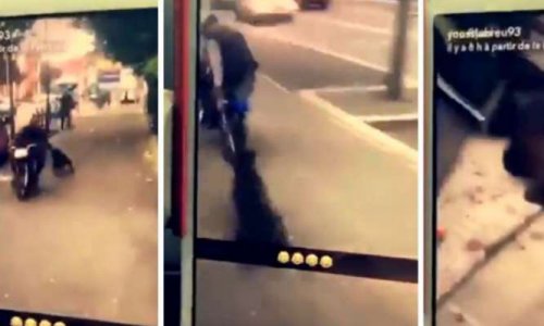 Peine exemplaire pour l'individu ayant traîné un chien derrière un scooter à Bobigny