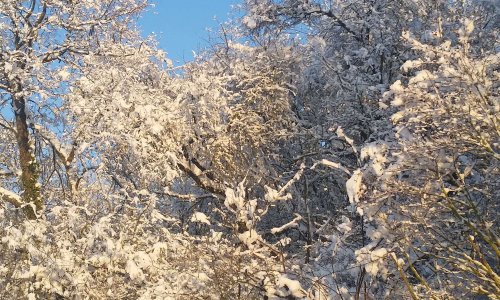 Pour éviter l'expulsion de mon terrain, pour le droit de vivre où l'on veut