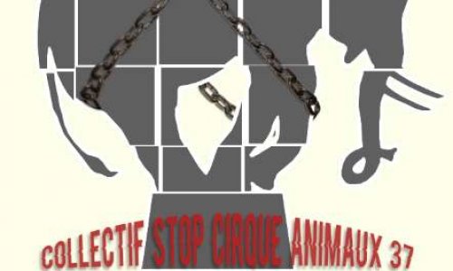 Stop aux animaux dans les cirques dans l'Indre-et-Loire