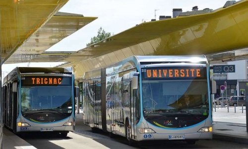 Multiplication des bus pour être moins piétiné