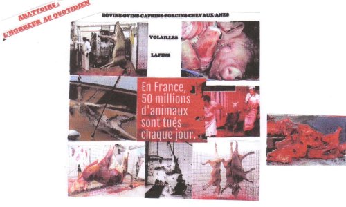 Alerte abattoirs : Scandaleux : La vidéo-surveillance votée en janvier 2017 supprimée du PROJET de LOI actuel  ! Mobilisons-nous  et AGISSONS  !