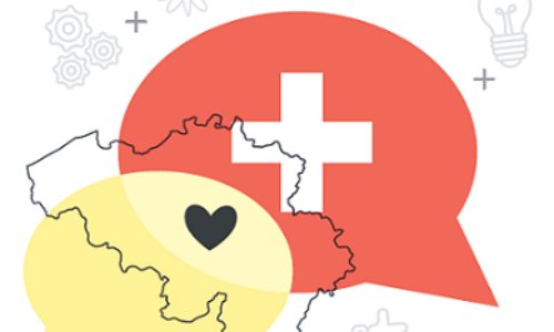 Pour l'instauration du Référendum Contraignant et de l’Initiative Citoyenne (RCIC) en Belgique