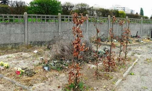 Entretien du cimetière et retour des gardiens