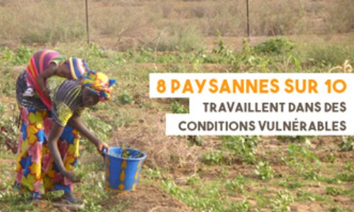 Contre la discrimination des femmes rurales dans les pays en développement