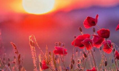 Recours contre le transfert de M. Salim Ali Mohamed 46 ans en Italie (loi DUBLIN)