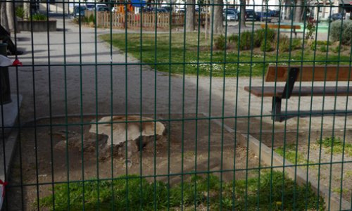 POUR LA SAUVEGARDE DES BERGES DE LA TÊT - STOP AU MASSACRE DES ARBRES