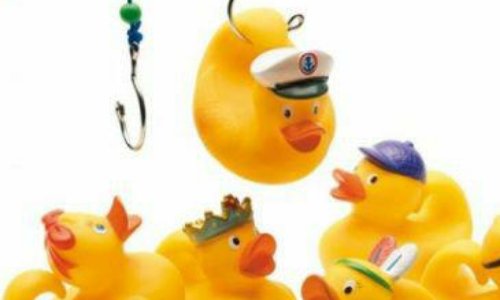 Stop à la pêche aux canards