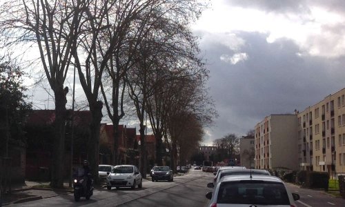 Non à l’abattage des 5 platanes, programmé par le maire d’ Arpajon, au mépris du résultat favorable d’une expertise des arbres.