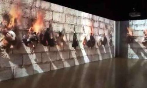 Pour le retrait immédiat de la vidéo de combustion de poulets de votre Musée !