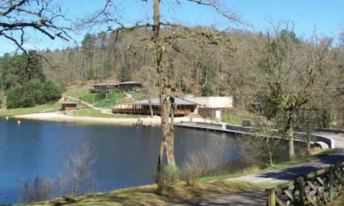 Les carpes de Pascal Coste