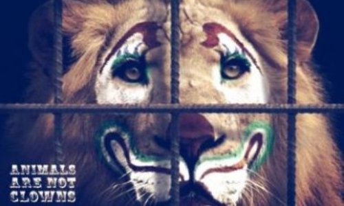 Non aux cirques avec des animaux à Saint Michel sur Orge