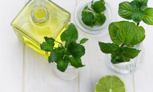 Oui aux médecines complémentaires