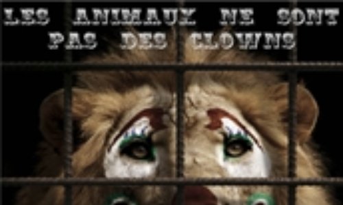 Pour le respect des animaux qui ne sont pas des jouets dire non au cirque