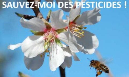 Pétition nationale pour la sauvegarde des abeilles et l'interdiction de tous les pesticides