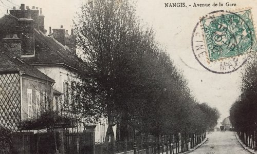 Pour la sauvegarde de l’alignement d’arbres de l’avenue Foch