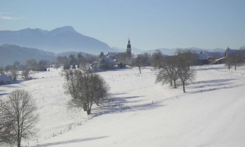 Pétition contre linky, le compteur à radiofréquences