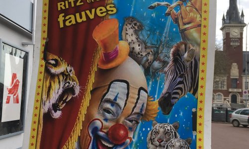Stop aux cirques avec animaux à Albert (Hauts-de-France)