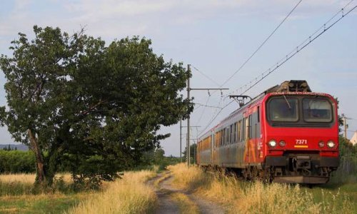 MON TRAIN, J'EN AI BESOIN !