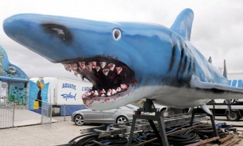 Pour l'interdiction d'Aquatic Shark, entreprise de souffrances et d'esclavage des requins et des otaries en Occitanie !