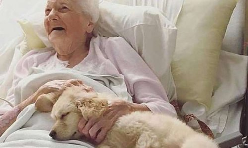 Pour une fin de vie meilleure pour toutes nos personnes âgées