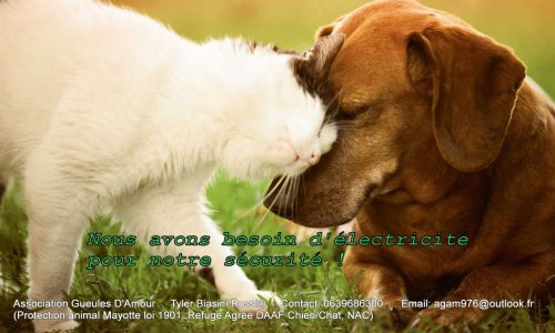 Électrification du refuge de Ongoujou !