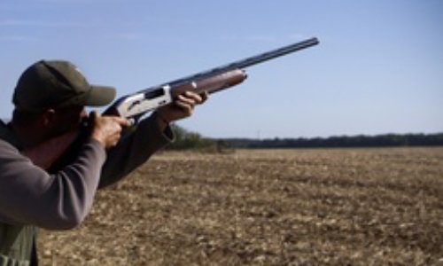 Chasse : pas de réduction pour le permis de tuer ! #MacronOffreLePermisDeTuer